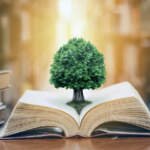 Wisdom or Knowledge