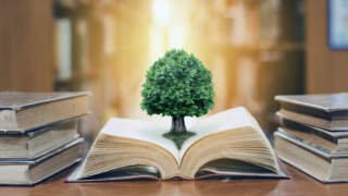 Wisdom or Knowledge